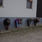Jutranja telovadba 8