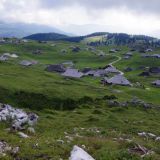 Pohod na Veliko planino 14